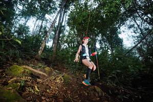 BIB: 
                            <button type="button" onclick="openModal(22564436)" class="btn btn-primary btn-sm float-right btn-popup" data-toggle="modal" data-target=".modal-high-quality">
                        <i class="fas fa-shopping-cart"></i> Add to Cart
                    </button>
                                            <button type="button" onclick="isThisMe(22564436, true)" class="btn btn-success btn-sm float-right btn-popup btn-isme hidden" data-toggle="tooltip" data-placement="bottom" title="นี่คือรูปของคุณใช่ไหม คลิกที่นี่เพื่อเอาเข้าอัลบั้ม">
                        <i class="fas fa-plus"></i> Add to album
                    </button>
                    <button type="button" onclick="isThisMe(22564436, false)" class="btn btn-warning btn-sm float-right btn-popup btn-isnotme hidden">
                        <i class="fas fa-ban"></i> Remove from album
                    </button>