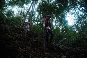 BIB: 
                            <button type="button" onclick="openModal(22560817)" class="btn btn-primary btn-sm float-right btn-popup" data-toggle="modal" data-target=".modal-high-quality">
                        <i class="fas fa-shopping-cart"></i> Add to Cart
                    </button>
                                            <button type="button" onclick="isThisMe(22560817, true)" class="btn btn-success btn-sm float-right btn-popup btn-isme hidden" data-toggle="tooltip" data-placement="bottom" title="นี่คือรูปของคุณใช่ไหม คลิกที่นี่เพื่อเอาเข้าอัลบั้ม">
                        <i class="fas fa-plus"></i> Add to album
                    </button>
                    <button type="button" onclick="isThisMe(22560817, false)" class="btn btn-warning btn-sm float-right btn-popup btn-isnotme hidden">
                        <i class="fas fa-ban"></i> Remove from album
                    </button>