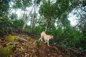 BIB: 
                            <button type="button" onclick="openModal(22562255)" class="btn btn-primary btn-sm float-right btn-popup" data-toggle="modal" data-target=".modal-high-quality">
                        <i class="fas fa-shopping-cart"></i> Add to Cart
                    </button>
                                            <button type="button" onclick="isThisMe(22562255, true)" class="btn btn-success btn-sm float-right btn-popup btn-isme hidden" data-toggle="tooltip" data-placement="bottom" title="นี่คือรูปของคุณใช่ไหม คลิกที่นี่เพื่อเอาเข้าอัลบั้ม">
                        <i class="fas fa-plus"></i> Add to album
                    </button>
                    <button type="button" onclick="isThisMe(22562255, false)" class="btn btn-warning btn-sm float-right btn-popup btn-isnotme hidden">
                        <i class="fas fa-ban"></i> Remove from album
                    </button>