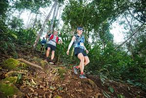 BIB: 
                            <button type="button" onclick="openModal(22561009)" class="btn btn-primary btn-sm float-right btn-popup" data-toggle="modal" data-target=".modal-high-quality">
                        <i class="fas fa-shopping-cart"></i> Add to Cart
                    </button>
                                            <button type="button" onclick="isThisMe(22561009, true)" class="btn btn-success btn-sm float-right btn-popup btn-isme hidden" data-toggle="tooltip" data-placement="bottom" title="นี่คือรูปของคุณใช่ไหม คลิกที่นี่เพื่อเอาเข้าอัลบั้ม">
                        <i class="fas fa-plus"></i> Add to album
                    </button>
                    <button type="button" onclick="isThisMe(22561009, false)" class="btn btn-warning btn-sm float-right btn-popup btn-isnotme hidden">
                        <i class="fas fa-ban"></i> Remove from album
                    </button>