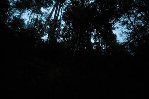 BIB: 
                            <button type="button" onclick="openModal(22560338)" class="btn btn-primary btn-sm float-right btn-popup" data-toggle="modal" data-target=".modal-high-quality">
                        <i class="fas fa-shopping-cart"></i> Add to Cart
                    </button>
                                            <button type="button" onclick="isThisMe(22560338, true)" class="btn btn-success btn-sm float-right btn-popup btn-isme hidden" data-toggle="tooltip" data-placement="bottom" title="นี่คือรูปของคุณใช่ไหม คลิกที่นี่เพื่อเอาเข้าอัลบั้ม">
                        <i class="fas fa-plus"></i> Add to album
                    </button>
                    <button type="button" onclick="isThisMe(22560338, false)" class="btn btn-warning btn-sm float-right btn-popup btn-isnotme hidden">
                        <i class="fas fa-ban"></i> Remove from album
                    </button>