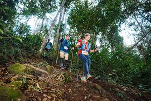 BIB: 
                            <button type="button" onclick="openModal(22563114)" class="btn btn-primary btn-sm float-right btn-popup" data-toggle="modal" data-target=".modal-high-quality">
                        <i class="fas fa-shopping-cart"></i> Add to Cart
                    </button>
                                            <button type="button" onclick="isThisMe(22563114, true)" class="btn btn-success btn-sm float-right btn-popup btn-isme hidden" data-toggle="tooltip" data-placement="bottom" title="นี่คือรูปของคุณใช่ไหม คลิกที่นี่เพื่อเอาเข้าอัลบั้ม">
                        <i class="fas fa-plus"></i> Add to album
                    </button>
                    <button type="button" onclick="isThisMe(22563114, false)" class="btn btn-warning btn-sm float-right btn-popup btn-isnotme hidden">
                        <i class="fas fa-ban"></i> Remove from album
                    </button>