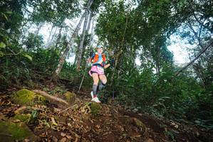 BIB: 
                            <button type="button" onclick="openModal(22563533)" class="btn btn-primary btn-sm float-right btn-popup" data-toggle="modal" data-target=".modal-high-quality">
                        <i class="fas fa-shopping-cart"></i> Add to Cart
                    </button>
                                            <button type="button" onclick="isThisMe(22563533, true)" class="btn btn-success btn-sm float-right btn-popup btn-isme hidden" data-toggle="tooltip" data-placement="bottom" title="นี่คือรูปของคุณใช่ไหม คลิกที่นี่เพื่อเอาเข้าอัลบั้ม">
                        <i class="fas fa-plus"></i> Add to album
                    </button>
                    <button type="button" onclick="isThisMe(22563533, false)" class="btn btn-warning btn-sm float-right btn-popup btn-isnotme hidden">
                        <i class="fas fa-ban"></i> Remove from album
                    </button>