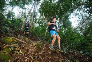 BIB: 
                            <button type="button" onclick="openModal(22561156)" class="btn btn-primary btn-sm float-right btn-popup" data-toggle="modal" data-target=".modal-high-quality">
                        <i class="fas fa-shopping-cart"></i> Add to Cart
                    </button>
                                            <button type="button" onclick="isThisMe(22561156, true)" class="btn btn-success btn-sm float-right btn-popup btn-isme hidden" data-toggle="tooltip" data-placement="bottom" title="นี่คือรูปของคุณใช่ไหม คลิกที่นี่เพื่อเอาเข้าอัลบั้ม">
                        <i class="fas fa-plus"></i> Add to album
                    </button>
                    <button type="button" onclick="isThisMe(22561156, false)" class="btn btn-warning btn-sm float-right btn-popup btn-isnotme hidden">
                        <i class="fas fa-ban"></i> Remove from album
                    </button>