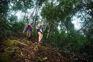 BIB: 
                            <button type="button" onclick="openModal(22564954)" class="btn btn-primary btn-sm float-right btn-popup" data-toggle="modal" data-target=".modal-high-quality">
                        <i class="fas fa-shopping-cart"></i> Add to Cart
                    </button>
                                            <button type="button" onclick="isThisMe(22564954, true)" class="btn btn-success btn-sm float-right btn-popup btn-isme hidden" data-toggle="tooltip" data-placement="bottom" title="นี่คือรูปของคุณใช่ไหม คลิกที่นี่เพื่อเอาเข้าอัลบั้ม">
                        <i class="fas fa-plus"></i> Add to album
                    </button>
                    <button type="button" onclick="isThisMe(22564954, false)" class="btn btn-warning btn-sm float-right btn-popup btn-isnotme hidden">
                        <i class="fas fa-ban"></i> Remove from album
                    </button>