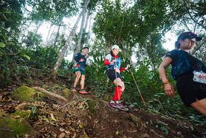 BIB: 619
                            <button type="button" onclick="openModal(22562435)" class="btn btn-primary btn-sm float-right btn-popup" data-toggle="modal" data-target=".modal-high-quality">
                        <i class="fas fa-shopping-cart"></i> Add to Cart
                    </button>
                                            <button type="button" onclick="isThisMe(22562435, true)" class="btn btn-success btn-sm float-right btn-popup btn-isme hidden" data-toggle="tooltip" data-placement="bottom" title="นี่คือรูปของคุณใช่ไหม คลิกที่นี่เพื่อเอาเข้าอัลบั้ม">
                        <i class="fas fa-plus"></i> Add to album
                    </button>
                    <button type="button" onclick="isThisMe(22562435, false)" class="btn btn-warning btn-sm float-right btn-popup btn-isnotme hidden">
                        <i class="fas fa-ban"></i> Remove from album
                    </button>