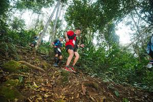 BIB: 
                            <button type="button" onclick="openModal(22558012)" class="btn btn-primary btn-sm float-right btn-popup" data-toggle="modal" data-target=".modal-high-quality">
                        <i class="fas fa-shopping-cart"></i> Add to Cart
                    </button>
                                            <button type="button" onclick="isThisMe(22558012, true)" class="btn btn-success btn-sm float-right btn-popup btn-isme hidden" data-toggle="tooltip" data-placement="bottom" title="นี่คือรูปของคุณใช่ไหม คลิกที่นี่เพื่อเอาเข้าอัลบั้ม">
                        <i class="fas fa-plus"></i> Add to album
                    </button>
                    <button type="button" onclick="isThisMe(22558012, false)" class="btn btn-warning btn-sm float-right btn-popup btn-isnotme hidden">
                        <i class="fas fa-ban"></i> Remove from album
                    </button>