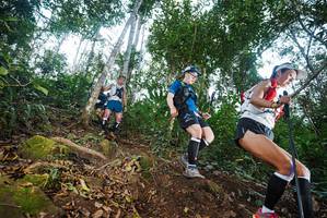 BIB: 
                            <button type="button" onclick="openModal(22562396)" class="btn btn-primary btn-sm float-right btn-popup" data-toggle="modal" data-target=".modal-high-quality">
                        <i class="fas fa-shopping-cart"></i> Add to Cart
                    </button>
                                            <button type="button" onclick="isThisMe(22562396, true)" class="btn btn-success btn-sm float-right btn-popup btn-isme hidden" data-toggle="tooltip" data-placement="bottom" title="นี่คือรูปของคุณใช่ไหม คลิกที่นี่เพื่อเอาเข้าอัลบั้ม">
                        <i class="fas fa-plus"></i> Add to album
                    </button>
                    <button type="button" onclick="isThisMe(22562396, false)" class="btn btn-warning btn-sm float-right btn-popup btn-isnotme hidden">
                        <i class="fas fa-ban"></i> Remove from album
                    </button>