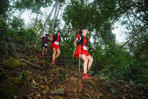 BIB: 
                            <button type="button" onclick="openModal(22556346)" class="btn btn-primary btn-sm float-right btn-popup" data-toggle="modal" data-target=".modal-high-quality">
                        <i class="fas fa-shopping-cart"></i> Add to Cart
                    </button>
                                            <button type="button" onclick="isThisMe(22556346, true)" class="btn btn-success btn-sm float-right btn-popup btn-isme hidden" data-toggle="tooltip" data-placement="bottom" title="นี่คือรูปของคุณใช่ไหม คลิกที่นี่เพื่อเอาเข้าอัลบั้ม">
                        <i class="fas fa-plus"></i> Add to album
                    </button>
                    <button type="button" onclick="isThisMe(22556346, false)" class="btn btn-warning btn-sm float-right btn-popup btn-isnotme hidden">
                        <i class="fas fa-ban"></i> Remove from album
                    </button>