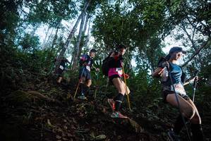 BIB: 5964
                            <button type="button" onclick="openModal(22565409)" class="btn btn-primary btn-sm float-right btn-popup" data-toggle="modal" data-target=".modal-high-quality">
                        <i class="fas fa-shopping-cart"></i> Add to Cart
                    </button>
                                            <button type="button" onclick="isThisMe(22565409, true)" class="btn btn-success btn-sm float-right btn-popup btn-isme hidden" data-toggle="tooltip" data-placement="bottom" title="นี่คือรูปของคุณใช่ไหม คลิกที่นี่เพื่อเอาเข้าอัลบั้ม">
                        <i class="fas fa-plus"></i> Add to album
                    </button>
                    <button type="button" onclick="isThisMe(22565409, false)" class="btn btn-warning btn-sm float-right btn-popup btn-isnotme hidden">
                        <i class="fas fa-ban"></i> Remove from album
                    </button>