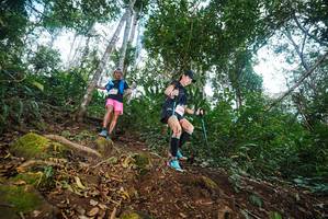 BIB: 
                            <button type="button" onclick="openModal(22561912)" class="btn btn-primary btn-sm float-right btn-popup" data-toggle="modal" data-target=".modal-high-quality">
                        <i class="fas fa-shopping-cart"></i> Add to Cart
                    </button>
                                            <button type="button" onclick="isThisMe(22561912, true)" class="btn btn-success btn-sm float-right btn-popup btn-isme hidden" data-toggle="tooltip" data-placement="bottom" title="นี่คือรูปของคุณใช่ไหม คลิกที่นี่เพื่อเอาเข้าอัลบั้ม">
                        <i class="fas fa-plus"></i> Add to album
                    </button>
                    <button type="button" onclick="isThisMe(22561912, false)" class="btn btn-warning btn-sm float-right btn-popup btn-isnotme hidden">
                        <i class="fas fa-ban"></i> Remove from album
                    </button>