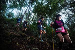 BIB: 6195
                            <button type="button" onclick="openModal(22565421)" class="btn btn-primary btn-sm float-right btn-popup" data-toggle="modal" data-target=".modal-high-quality">
                        <i class="fas fa-shopping-cart"></i> Add to Cart
                    </button>
                                            <button type="button" onclick="isThisMe(22565421, true)" class="btn btn-success btn-sm float-right btn-popup btn-isme hidden" data-toggle="tooltip" data-placement="bottom" title="นี่คือรูปของคุณใช่ไหม คลิกที่นี่เพื่อเอาเข้าอัลบั้ม">
                        <i class="fas fa-plus"></i> Add to album
                    </button>
                    <button type="button" onclick="isThisMe(22565421, false)" class="btn btn-warning btn-sm float-right btn-popup btn-isnotme hidden">
                        <i class="fas fa-ban"></i> Remove from album
                    </button>