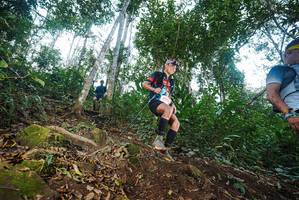 BIB: 009
                            <button type="button" onclick="openModal(22562505)" class="btn btn-primary btn-sm float-right btn-popup" data-toggle="modal" data-target=".modal-high-quality">
                        <i class="fas fa-shopping-cart"></i> Add to Cart
                    </button>
                                            <button type="button" onclick="isThisMe(22562505, true)" class="btn btn-success btn-sm float-right btn-popup btn-isme hidden" data-toggle="tooltip" data-placement="bottom" title="นี่คือรูปของคุณใช่ไหม คลิกที่นี่เพื่อเอาเข้าอัลบั้ม">
                        <i class="fas fa-plus"></i> Add to album
                    </button>
                    <button type="button" onclick="isThisMe(22562505, false)" class="btn btn-warning btn-sm float-right btn-popup btn-isnotme hidden">
                        <i class="fas fa-ban"></i> Remove from album
                    </button>