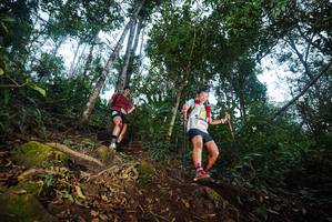 BIB: 
                            <button type="button" onclick="openModal(22564361)" class="btn btn-primary btn-sm float-right btn-popup" data-toggle="modal" data-target=".modal-high-quality">
                        <i class="fas fa-shopping-cart"></i> Add to Cart
                    </button>
                                            <button type="button" onclick="isThisMe(22564361, true)" class="btn btn-success btn-sm float-right btn-popup btn-isme hidden" data-toggle="tooltip" data-placement="bottom" title="นี่คือรูปของคุณใช่ไหม คลิกที่นี่เพื่อเอาเข้าอัลบั้ม">
                        <i class="fas fa-plus"></i> Add to album
                    </button>
                    <button type="button" onclick="isThisMe(22564361, false)" class="btn btn-warning btn-sm float-right btn-popup btn-isnotme hidden">
                        <i class="fas fa-ban"></i> Remove from album
                    </button>