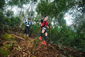 BIB: 
                            <button type="button" onclick="openModal(22561200)" class="btn btn-primary btn-sm float-right btn-popup" data-toggle="modal" data-target=".modal-high-quality">
                        <i class="fas fa-shopping-cart"></i> Add to Cart
                    </button>
                                            <button type="button" onclick="isThisMe(22561200, true)" class="btn btn-success btn-sm float-right btn-popup btn-isme hidden" data-toggle="tooltip" data-placement="bottom" title="นี่คือรูปของคุณใช่ไหม คลิกที่นี่เพื่อเอาเข้าอัลบั้ม">
                        <i class="fas fa-plus"></i> Add to album
                    </button>
                    <button type="button" onclick="isThisMe(22561200, false)" class="btn btn-warning btn-sm float-right btn-popup btn-isnotme hidden">
                        <i class="fas fa-ban"></i> Remove from album
                    </button>