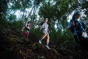 BIB: 
                            <button type="button" onclick="openModal(22565380)" class="btn btn-primary btn-sm float-right btn-popup" data-toggle="modal" data-target=".modal-high-quality">
                        <i class="fas fa-shopping-cart"></i> Add to Cart
                    </button>
                                            <button type="button" onclick="isThisMe(22565380, true)" class="btn btn-success btn-sm float-right btn-popup btn-isme hidden" data-toggle="tooltip" data-placement="bottom" title="นี่คือรูปของคุณใช่ไหม คลิกที่นี่เพื่อเอาเข้าอัลบั้ม">
                        <i class="fas fa-plus"></i> Add to album
                    </button>
                    <button type="button" onclick="isThisMe(22565380, false)" class="btn btn-warning btn-sm float-right btn-popup btn-isnotme hidden">
                        <i class="fas fa-ban"></i> Remove from album
                    </button>