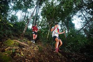 BIB: 
                            <button type="button" onclick="openModal(22564362)" class="btn btn-primary btn-sm float-right btn-popup" data-toggle="modal" data-target=".modal-high-quality">
                        <i class="fas fa-shopping-cart"></i> Add to Cart
                    </button>
                                            <button type="button" onclick="isThisMe(22564362, true)" class="btn btn-success btn-sm float-right btn-popup btn-isme hidden" data-toggle="tooltip" data-placement="bottom" title="นี่คือรูปของคุณใช่ไหม คลิกที่นี่เพื่อเอาเข้าอัลบั้ม">
                        <i class="fas fa-plus"></i> Add to album
                    </button>
                    <button type="button" onclick="isThisMe(22564362, false)" class="btn btn-warning btn-sm float-right btn-popup btn-isnotme hidden">
                        <i class="fas fa-ban"></i> Remove from album
                    </button>