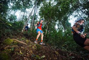 BIB: 
                            <button type="button" onclick="openModal(22564969)" class="btn btn-primary btn-sm float-right btn-popup" data-toggle="modal" data-target=".modal-high-quality">
                        <i class="fas fa-shopping-cart"></i> Add to Cart
                    </button>
                                            <button type="button" onclick="isThisMe(22564969, true)" class="btn btn-success btn-sm float-right btn-popup btn-isme hidden" data-toggle="tooltip" data-placement="bottom" title="นี่คือรูปของคุณใช่ไหม คลิกที่นี่เพื่อเอาเข้าอัลบั้ม">
                        <i class="fas fa-plus"></i> Add to album
                    </button>
                    <button type="button" onclick="isThisMe(22564969, false)" class="btn btn-warning btn-sm float-right btn-popup btn-isnotme hidden">
                        <i class="fas fa-ban"></i> Remove from album
                    </button>