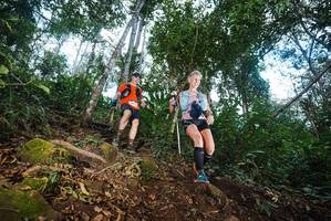 BIB: 
                            <button type="button" onclick="openModal(22563591)" class="btn btn-primary btn-sm float-right btn-popup" data-toggle="modal" data-target=".modal-high-quality">
                        <i class="fas fa-shopping-cart"></i> Add to Cart
                    </button>
                                            <button type="button" onclick="isThisMe(22563591, true)" class="btn btn-success btn-sm float-right btn-popup btn-isme hidden" data-toggle="tooltip" data-placement="bottom" title="นี่คือรูปของคุณใช่ไหม คลิกที่นี่เพื่อเอาเข้าอัลบั้ม">
                        <i class="fas fa-plus"></i> Add to album
                    </button>
                    <button type="button" onclick="isThisMe(22563591, false)" class="btn btn-warning btn-sm float-right btn-popup btn-isnotme hidden">
                        <i class="fas fa-ban"></i> Remove from album
                    </button>