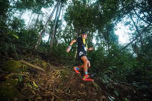 BIB: 
                            <button type="button" onclick="openModal(22560795)" class="btn btn-primary btn-sm float-right btn-popup" data-toggle="modal" data-target=".modal-high-quality">
                        <i class="fas fa-shopping-cart"></i> Add to Cart
                    </button>
                                            <button type="button" onclick="isThisMe(22560795, true)" class="btn btn-success btn-sm float-right btn-popup btn-isme hidden" data-toggle="tooltip" data-placement="bottom" title="นี่คือรูปของคุณใช่ไหม คลิกที่นี่เพื่อเอาเข้าอัลบั้ม">
                        <i class="fas fa-plus"></i> Add to album
                    </button>
                    <button type="button" onclick="isThisMe(22560795, false)" class="btn btn-warning btn-sm float-right btn-popup btn-isnotme hidden">
                        <i class="fas fa-ban"></i> Remove from album
                    </button>