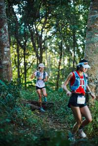 BIB: 
                            <button type="button" onclick="openModal(22642414)" class="btn btn-primary btn-sm float-right btn-popup" data-toggle="modal" data-target=".modal-high-quality">
                        <i class="fas fa-shopping-cart"></i> Add to Cart
                    </button>
                                            <button type="button" onclick="isThisMe(22642414, true)" class="btn btn-success btn-sm float-right btn-popup btn-isme hidden" data-toggle="tooltip" data-placement="bottom" title="นี่คือรูปของคุณใช่ไหม คลิกที่นี่เพื่อเอาเข้าอัลบั้ม">
                        <i class="fas fa-plus"></i> Add to album
                    </button>
                    <button type="button" onclick="isThisMe(22642414, false)" class="btn btn-warning btn-sm float-right btn-popup btn-isnotme hidden">
                        <i class="fas fa-ban"></i> Remove from album
                    </button>