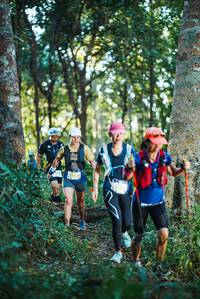 BIB: 2531
                            <button type="button" onclick="openModal(22642709)" class="btn btn-primary btn-sm float-right btn-popup" data-toggle="modal" data-target=".modal-high-quality">
                        <i class="fas fa-shopping-cart"></i> Add to Cart
                    </button>
                                            <button type="button" onclick="isThisMe(22642709, true)" class="btn btn-success btn-sm float-right btn-popup btn-isme hidden" data-toggle="tooltip" data-placement="bottom" title="นี่คือรูปของคุณใช่ไหม คลิกที่นี่เพื่อเอาเข้าอัลบั้ม">
                        <i class="fas fa-plus"></i> Add to album
                    </button>
                    <button type="button" onclick="isThisMe(22642709, false)" class="btn btn-warning btn-sm float-right btn-popup btn-isnotme hidden">
                        <i class="fas fa-ban"></i> Remove from album
                    </button>