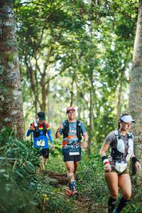 BIB: 
                            <button type="button" onclick="openModal(22645292)" class="btn btn-primary btn-sm float-right btn-popup" data-toggle="modal" data-target=".modal-high-quality">
                        <i class="fas fa-shopping-cart"></i> Add to Cart
                    </button>
                                            <button type="button" onclick="isThisMe(22645292, true)" class="btn btn-success btn-sm float-right btn-popup btn-isme hidden" data-toggle="tooltip" data-placement="bottom" title="นี่คือรูปของคุณใช่ไหม คลิกที่นี่เพื่อเอาเข้าอัลบั้ม">
                        <i class="fas fa-plus"></i> Add to album
                    </button>
                    <button type="button" onclick="isThisMe(22645292, false)" class="btn btn-warning btn-sm float-right btn-popup btn-isnotme hidden">
                        <i class="fas fa-ban"></i> Remove from album
                    </button>