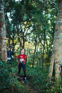 BIB: 
                            <button type="button" onclick="openModal(22641433)" class="btn btn-primary btn-sm float-right btn-popup" data-toggle="modal" data-target=".modal-high-quality">
                        <i class="fas fa-shopping-cart"></i> Add to Cart
                    </button>
                                            <button type="button" onclick="isThisMe(22641433, true)" class="btn btn-success btn-sm float-right btn-popup btn-isme hidden" data-toggle="tooltip" data-placement="bottom" title="นี่คือรูปของคุณใช่ไหม คลิกที่นี่เพื่อเอาเข้าอัลบั้ม">
                        <i class="fas fa-plus"></i> Add to album
                    </button>
                    <button type="button" onclick="isThisMe(22641433, false)" class="btn btn-warning btn-sm float-right btn-popup btn-isnotme hidden">
                        <i class="fas fa-ban"></i> Remove from album
                    </button>