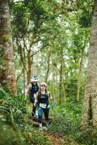 BIB: 
                            <button type="button" onclick="openModal(22647030)" class="btn btn-primary btn-sm float-right btn-popup" data-toggle="modal" data-target=".modal-high-quality">
                        <i class="fas fa-shopping-cart"></i> Add to Cart
                    </button>
                                            <button type="button" onclick="isThisMe(22647030, true)" class="btn btn-success btn-sm float-right btn-popup btn-isme hidden" data-toggle="tooltip" data-placement="bottom" title="นี่คือรูปของคุณใช่ไหม คลิกที่นี่เพื่อเอาเข้าอัลบั้ม">
                        <i class="fas fa-plus"></i> Add to album
                    </button>
                    <button type="button" onclick="isThisMe(22647030, false)" class="btn btn-warning btn-sm float-right btn-popup btn-isnotme hidden">
                        <i class="fas fa-ban"></i> Remove from album
                    </button>