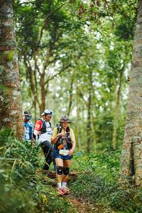 BIB: 
                            <button type="button" onclick="openModal(22646816)" class="btn btn-primary btn-sm float-right btn-popup" data-toggle="modal" data-target=".modal-high-quality">
                        <i class="fas fa-shopping-cart"></i> Add to Cart
                    </button>
                                            <button type="button" onclick="isThisMe(22646816, true)" class="btn btn-success btn-sm float-right btn-popup btn-isme hidden" data-toggle="tooltip" data-placement="bottom" title="นี่คือรูปของคุณใช่ไหม คลิกที่นี่เพื่อเอาเข้าอัลบั้ม">
                        <i class="fas fa-plus"></i> Add to album
                    </button>
                    <button type="button" onclick="isThisMe(22646816, false)" class="btn btn-warning btn-sm float-right btn-popup btn-isnotme hidden">
                        <i class="fas fa-ban"></i> Remove from album
                    </button>