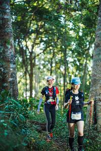 BIB: 
                            <button type="button" onclick="openModal(22643619)" class="btn btn-primary btn-sm float-right btn-popup" data-toggle="modal" data-target=".modal-high-quality">
                        <i class="fas fa-shopping-cart"></i> Add to Cart
                    </button>
                                            <button type="button" onclick="isThisMe(22643619, true)" class="btn btn-success btn-sm float-right btn-popup btn-isme hidden" data-toggle="tooltip" data-placement="bottom" title="นี่คือรูปของคุณใช่ไหม คลิกที่นี่เพื่อเอาเข้าอัลบั้ม">
                        <i class="fas fa-plus"></i> Add to album
                    </button>
                    <button type="button" onclick="isThisMe(22643619, false)" class="btn btn-warning btn-sm float-right btn-popup btn-isnotme hidden">
                        <i class="fas fa-ban"></i> Remove from album
                    </button>