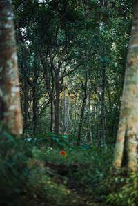 BIB: 
                            <button type="button" onclick="openModal(22640331)" class="btn btn-primary btn-sm float-right btn-popup" data-toggle="modal" data-target=".modal-high-quality">
                        <i class="fas fa-shopping-cart"></i> Add to Cart
                    </button>
                                            <button type="button" onclick="isThisMe(22640331, true)" class="btn btn-success btn-sm float-right btn-popup btn-isme hidden" data-toggle="tooltip" data-placement="bottom" title="นี่คือรูปของคุณใช่ไหม คลิกที่นี่เพื่อเอาเข้าอัลบั้ม">
                        <i class="fas fa-plus"></i> Add to album
                    </button>
                    <button type="button" onclick="isThisMe(22640331, false)" class="btn btn-warning btn-sm float-right btn-popup btn-isnotme hidden">
                        <i class="fas fa-ban"></i> Remove from album
                    </button>