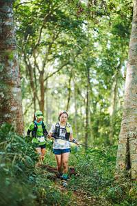 BIB: 
                            <button type="button" onclick="openModal(22645942)" class="btn btn-primary btn-sm float-right btn-popup" data-toggle="modal" data-target=".modal-high-quality">
                        <i class="fas fa-shopping-cart"></i> Add to Cart
                    </button>
                                            <button type="button" onclick="isThisMe(22645942, true)" class="btn btn-success btn-sm float-right btn-popup btn-isme hidden" data-toggle="tooltip" data-placement="bottom" title="นี่คือรูปของคุณใช่ไหม คลิกที่นี่เพื่อเอาเข้าอัลบั้ม">
                        <i class="fas fa-plus"></i> Add to album
                    </button>
                    <button type="button" onclick="isThisMe(22645942, false)" class="btn btn-warning btn-sm float-right btn-popup btn-isnotme hidden">
                        <i class="fas fa-ban"></i> Remove from album
                    </button>