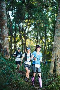 BIB: 
                            <button type="button" onclick="openModal(22641195)" class="btn btn-primary btn-sm float-right btn-popup" data-toggle="modal" data-target=".modal-high-quality">
                        <i class="fas fa-shopping-cart"></i> Add to Cart
                    </button>
                                            <button type="button" onclick="isThisMe(22641195, true)" class="btn btn-success btn-sm float-right btn-popup btn-isme hidden" data-toggle="tooltip" data-placement="bottom" title="นี่คือรูปของคุณใช่ไหม คลิกที่นี่เพื่อเอาเข้าอัลบั้ม">
                        <i class="fas fa-plus"></i> Add to album
                    </button>
                    <button type="button" onclick="isThisMe(22641195, false)" class="btn btn-warning btn-sm float-right btn-popup btn-isnotme hidden">
                        <i class="fas fa-ban"></i> Remove from album
                    </button>