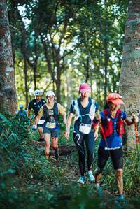 BIB: 25322
                            <button type="button" onclick="openModal(22642710)" class="btn btn-primary btn-sm float-right btn-popup" data-toggle="modal" data-target=".modal-high-quality">
                        <i class="fas fa-shopping-cart"></i> Add to Cart
                    </button>
                                            <button type="button" onclick="isThisMe(22642710, true)" class="btn btn-success btn-sm float-right btn-popup btn-isme hidden" data-toggle="tooltip" data-placement="bottom" title="นี่คือรูปของคุณใช่ไหม คลิกที่นี่เพื่อเอาเข้าอัลบั้ม">
                        <i class="fas fa-plus"></i> Add to album
                    </button>
                    <button type="button" onclick="isThisMe(22642710, false)" class="btn btn-warning btn-sm float-right btn-popup btn-isnotme hidden">
                        <i class="fas fa-ban"></i> Remove from album
                    </button>