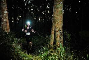 BIB: 
                            <button type="button" onclick="openModal(22639437)" class="btn btn-primary btn-sm float-right btn-popup" data-toggle="modal" data-target=".modal-high-quality">
                        <i class="fas fa-shopping-cart"></i> Add to Cart
                    </button>
                                            <button type="button" onclick="isThisMe(22639437, true)" class="btn btn-success btn-sm float-right btn-popup btn-isme hidden" data-toggle="tooltip" data-placement="bottom" title="นี่คือรูปของคุณใช่ไหม คลิกที่นี่เพื่อเอาเข้าอัลบั้ม">
                        <i class="fas fa-plus"></i> Add to album
                    </button>
                    <button type="button" onclick="isThisMe(22639437, false)" class="btn btn-warning btn-sm float-right btn-popup btn-isnotme hidden">
                        <i class="fas fa-ban"></i> Remove from album
                    </button>