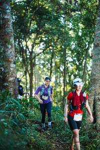 BIB: 
                            <button type="button" onclick="openModal(22642989)" class="btn btn-primary btn-sm float-right btn-popup" data-toggle="modal" data-target=".modal-high-quality">
                        <i class="fas fa-shopping-cart"></i> Add to Cart
                    </button>
                                            <button type="button" onclick="isThisMe(22642989, true)" class="btn btn-success btn-sm float-right btn-popup btn-isme hidden" data-toggle="tooltip" data-placement="bottom" title="นี่คือรูปของคุณใช่ไหม คลิกที่นี่เพื่อเอาเข้าอัลบั้ม">
                        <i class="fas fa-plus"></i> Add to album
                    </button>
                    <button type="button" onclick="isThisMe(22642989, false)" class="btn btn-warning btn-sm float-right btn-popup btn-isnotme hidden">
                        <i class="fas fa-ban"></i> Remove from album
                    </button>