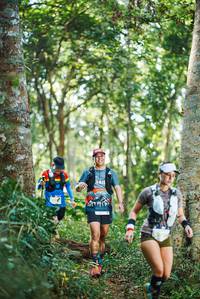 BIB: 
                            <button type="button" onclick="openModal(22645288)" class="btn btn-primary btn-sm float-right btn-popup" data-toggle="modal" data-target=".modal-high-quality">
                        <i class="fas fa-shopping-cart"></i> Add to Cart
                    </button>
                                            <button type="button" onclick="isThisMe(22645288, true)" class="btn btn-success btn-sm float-right btn-popup btn-isme hidden" data-toggle="tooltip" data-placement="bottom" title="นี่คือรูปของคุณใช่ไหม คลิกที่นี่เพื่อเอาเข้าอัลบั้ม">
                        <i class="fas fa-plus"></i> Add to album
                    </button>
                    <button type="button" onclick="isThisMe(22645288, false)" class="btn btn-warning btn-sm float-right btn-popup btn-isnotme hidden">
                        <i class="fas fa-ban"></i> Remove from album
                    </button>