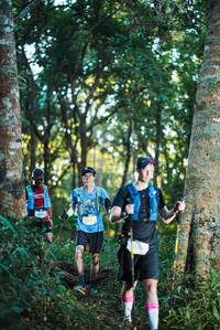 BIB: 
                            <button type="button" onclick="openModal(22641414)" class="btn btn-primary btn-sm float-right btn-popup" data-toggle="modal" data-target=".modal-high-quality">
                        <i class="fas fa-shopping-cart"></i> Add to Cart
                    </button>
                                            <button type="button" onclick="isThisMe(22641414, true)" class="btn btn-success btn-sm float-right btn-popup btn-isme hidden" data-toggle="tooltip" data-placement="bottom" title="นี่คือรูปของคุณใช่ไหม คลิกที่นี่เพื่อเอาเข้าอัลบั้ม">
                        <i class="fas fa-plus"></i> Add to album
                    </button>
                    <button type="button" onclick="isThisMe(22641414, false)" class="btn btn-warning btn-sm float-right btn-popup btn-isnotme hidden">
                        <i class="fas fa-ban"></i> Remove from album
                    </button>