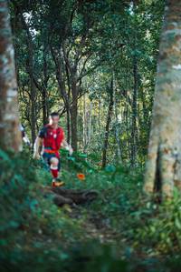 BIB: 
                            <button type="button" onclick="openModal(22641579)" class="btn btn-primary btn-sm float-right btn-popup" data-toggle="modal" data-target=".modal-high-quality">
                        <i class="fas fa-shopping-cart"></i> Add to Cart
                    </button>
                                            <button type="button" onclick="isThisMe(22641579, true)" class="btn btn-success btn-sm float-right btn-popup btn-isme hidden" data-toggle="tooltip" data-placement="bottom" title="นี่คือรูปของคุณใช่ไหม คลิกที่นี่เพื่อเอาเข้าอัลบั้ม">
                        <i class="fas fa-plus"></i> Add to album
                    </button>
                    <button type="button" onclick="isThisMe(22641579, false)" class="btn btn-warning btn-sm float-right btn-popup btn-isnotme hidden">
                        <i class="fas fa-ban"></i> Remove from album
                    </button>