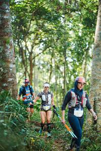 BIB: 
                            <button type="button" onclick="openModal(22645286)" class="btn btn-primary btn-sm float-right btn-popup" data-toggle="modal" data-target=".modal-high-quality">
                        <i class="fas fa-shopping-cart"></i> Add to Cart
                    </button>
                                            <button type="button" onclick="isThisMe(22645286, true)" class="btn btn-success btn-sm float-right btn-popup btn-isme hidden" data-toggle="tooltip" data-placement="bottom" title="นี่คือรูปของคุณใช่ไหม คลิกที่นี่เพื่อเอาเข้าอัลบั้ม">
                        <i class="fas fa-plus"></i> Add to album
                    </button>
                    <button type="button" onclick="isThisMe(22645286, false)" class="btn btn-warning btn-sm float-right btn-popup btn-isnotme hidden">
                        <i class="fas fa-ban"></i> Remove from album
                    </button>