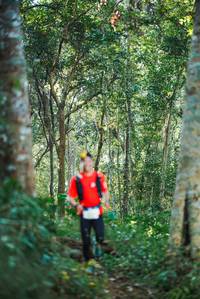 BIB: 
                            <button type="button" onclick="openModal(22644593)" class="btn btn-primary btn-sm float-right btn-popup" data-toggle="modal" data-target=".modal-high-quality">
                        <i class="fas fa-shopping-cart"></i> Add to Cart
                    </button>
                                            <button type="button" onclick="isThisMe(22644593, true)" class="btn btn-success btn-sm float-right btn-popup btn-isme hidden" data-toggle="tooltip" data-placement="bottom" title="นี่คือรูปของคุณใช่ไหม คลิกที่นี่เพื่อเอาเข้าอัลบั้ม">
                        <i class="fas fa-plus"></i> Add to album
                    </button>
                    <button type="button" onclick="isThisMe(22644593, false)" class="btn btn-warning btn-sm float-right btn-popup btn-isnotme hidden">
                        <i class="fas fa-ban"></i> Remove from album
                    </button>