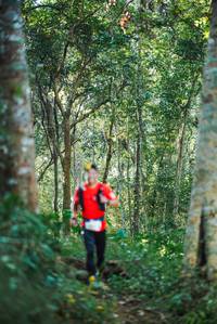 BIB: 
                            <button type="button" onclick="openModal(22644592)" class="btn btn-primary btn-sm float-right btn-popup" data-toggle="modal" data-target=".modal-high-quality">
                        <i class="fas fa-shopping-cart"></i> Add to Cart
                    </button>
                                            <button type="button" onclick="isThisMe(22644592, true)" class="btn btn-success btn-sm float-right btn-popup btn-isme hidden" data-toggle="tooltip" data-placement="bottom" title="นี่คือรูปของคุณใช่ไหม คลิกที่นี่เพื่อเอาเข้าอัลบั้ม">
                        <i class="fas fa-plus"></i> Add to album
                    </button>
                    <button type="button" onclick="isThisMe(22644592, false)" class="btn btn-warning btn-sm float-right btn-popup btn-isnotme hidden">
                        <i class="fas fa-ban"></i> Remove from album
                    </button>