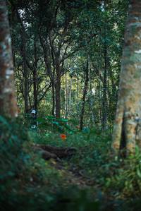 BIB: 
                            <button type="button" onclick="openModal(22641716)" class="btn btn-primary btn-sm float-right btn-popup" data-toggle="modal" data-target=".modal-high-quality">
                        <i class="fas fa-shopping-cart"></i> Add to Cart
                    </button>
                                            <button type="button" onclick="isThisMe(22641716, true)" class="btn btn-success btn-sm float-right btn-popup btn-isme hidden" data-toggle="tooltip" data-placement="bottom" title="นี่คือรูปของคุณใช่ไหม คลิกที่นี่เพื่อเอาเข้าอัลบั้ม">
                        <i class="fas fa-plus"></i> Add to album
                    </button>
                    <button type="button" onclick="isThisMe(22641716, false)" class="btn btn-warning btn-sm float-right btn-popup btn-isnotme hidden">
                        <i class="fas fa-ban"></i> Remove from album
                    </button>