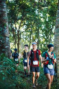 BIB: 
                            <button type="button" onclick="openModal(22643031)" class="btn btn-primary btn-sm float-right btn-popup" data-toggle="modal" data-target=".modal-high-quality">
                        <i class="fas fa-shopping-cart"></i> Add to Cart
                    </button>
                                            <button type="button" onclick="isThisMe(22643031, true)" class="btn btn-success btn-sm float-right btn-popup btn-isme hidden" data-toggle="tooltip" data-placement="bottom" title="นี่คือรูปของคุณใช่ไหม คลิกที่นี่เพื่อเอาเข้าอัลบั้ม">
                        <i class="fas fa-plus"></i> Add to album
                    </button>
                    <button type="button" onclick="isThisMe(22643031, false)" class="btn btn-warning btn-sm float-right btn-popup btn-isnotme hidden">
                        <i class="fas fa-ban"></i> Remove from album
                    </button>