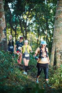 BIB: 
                            <button type="button" onclick="openModal(22642153)" class="btn btn-primary btn-sm float-right btn-popup" data-toggle="modal" data-target=".modal-high-quality">
                        <i class="fas fa-shopping-cart"></i> Add to Cart
                    </button>
                                            <button type="button" onclick="isThisMe(22642153, true)" class="btn btn-success btn-sm float-right btn-popup btn-isme hidden" data-toggle="tooltip" data-placement="bottom" title="นี่คือรูปของคุณใช่ไหม คลิกที่นี่เพื่อเอาเข้าอัลบั้ม">
                        <i class="fas fa-plus"></i> Add to album
                    </button>
                    <button type="button" onclick="isThisMe(22642153, false)" class="btn btn-warning btn-sm float-right btn-popup btn-isnotme hidden">
                        <i class="fas fa-ban"></i> Remove from album
                    </button>