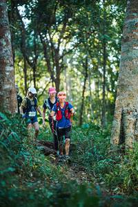 BIB: 2531
                            <button type="button" onclick="openModal(22642702)" class="btn btn-primary btn-sm float-right btn-popup" data-toggle="modal" data-target=".modal-high-quality">
                        <i class="fas fa-shopping-cart"></i> Add to Cart
                    </button>
                                            <button type="button" onclick="isThisMe(22642702, true)" class="btn btn-success btn-sm float-right btn-popup btn-isme hidden" data-toggle="tooltip" data-placement="bottom" title="นี่คือรูปของคุณใช่ไหม คลิกที่นี่เพื่อเอาเข้าอัลบั้ม">
                        <i class="fas fa-plus"></i> Add to album
                    </button>
                    <button type="button" onclick="isThisMe(22642702, false)" class="btn btn-warning btn-sm float-right btn-popup btn-isnotme hidden">
                        <i class="fas fa-ban"></i> Remove from album
                    </button>