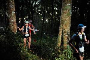 BIB: 718
                            <button type="button" onclick="openModal(22639504)" class="btn btn-primary btn-sm float-right btn-popup" data-toggle="modal" data-target=".modal-high-quality">
                        <i class="fas fa-shopping-cart"></i> Add to Cart
                    </button>
                                            <button type="button" onclick="isThisMe(22639504, true)" class="btn btn-success btn-sm float-right btn-popup btn-isme hidden" data-toggle="tooltip" data-placement="bottom" title="นี่คือรูปของคุณใช่ไหม คลิกที่นี่เพื่อเอาเข้าอัลบั้ม">
                        <i class="fas fa-plus"></i> Add to album
                    </button>
                    <button type="button" onclick="isThisMe(22639504, false)" class="btn btn-warning btn-sm float-right btn-popup btn-isnotme hidden">
                        <i class="fas fa-ban"></i> Remove from album
                    </button>