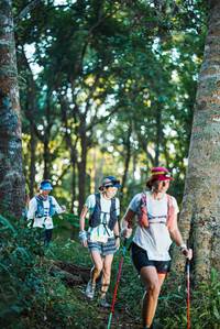 BIB: 
                            <button type="button" onclick="openModal(22641497)" class="btn btn-primary btn-sm float-right btn-popup" data-toggle="modal" data-target=".modal-high-quality">
                        <i class="fas fa-shopping-cart"></i> Add to Cart
                    </button>
                                            <button type="button" onclick="isThisMe(22641497, true)" class="btn btn-success btn-sm float-right btn-popup btn-isme hidden" data-toggle="tooltip" data-placement="bottom" title="นี่คือรูปของคุณใช่ไหม คลิกที่นี่เพื่อเอาเข้าอัลบั้ม">
                        <i class="fas fa-plus"></i> Add to album
                    </button>
                    <button type="button" onclick="isThisMe(22641497, false)" class="btn btn-warning btn-sm float-right btn-popup btn-isnotme hidden">
                        <i class="fas fa-ban"></i> Remove from album
                    </button>