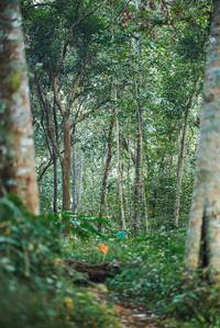 BIB: 
                            <button type="button" onclick="openModal(22647973)" class="btn btn-primary btn-sm float-right btn-popup" data-toggle="modal" data-target=".modal-high-quality">
                        <i class="fas fa-shopping-cart"></i> Add to Cart
                    </button>
                                            <button type="button" onclick="isThisMe(22647973, true)" class="btn btn-success btn-sm float-right btn-popup btn-isme hidden" data-toggle="tooltip" data-placement="bottom" title="นี่คือรูปของคุณใช่ไหม คลิกที่นี่เพื่อเอาเข้าอัลบั้ม">
                        <i class="fas fa-plus"></i> Add to album
                    </button>
                    <button type="button" onclick="isThisMe(22647973, false)" class="btn btn-warning btn-sm float-right btn-popup btn-isnotme hidden">
                        <i class="fas fa-ban"></i> Remove from album
                    </button>